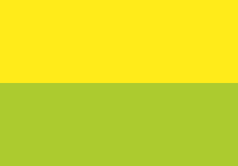 Pigment Yellow 1148