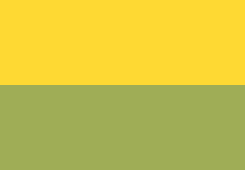 Pigment Yellow FL-1225